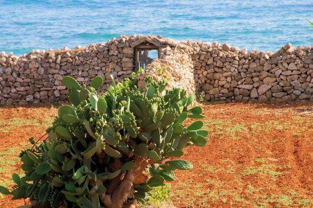 6 gg in Puglia