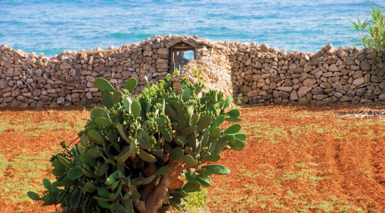 6 gg in Puglia